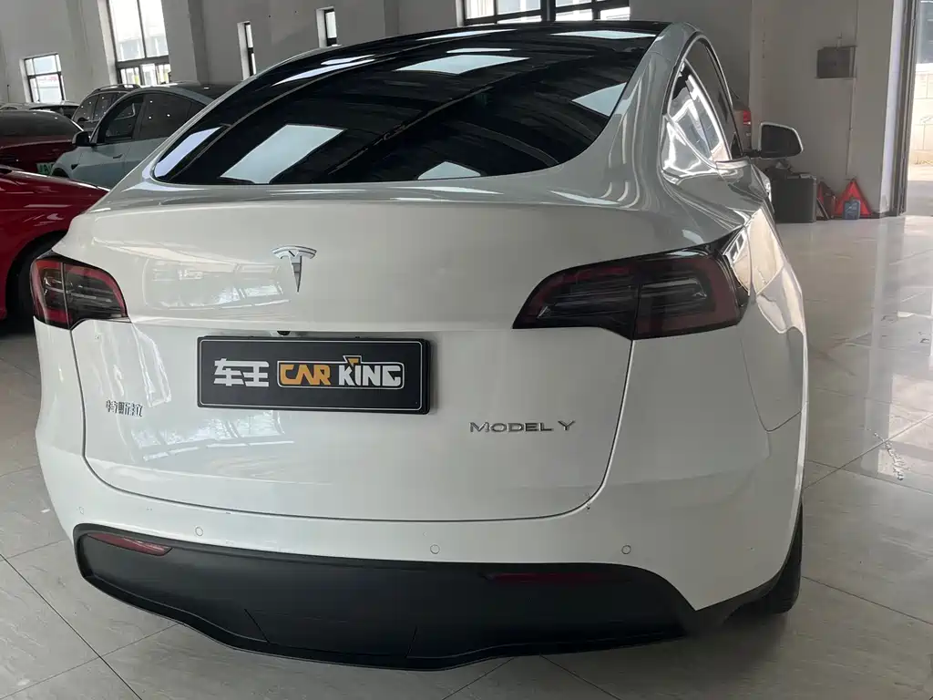 Tesla Model Y — миниатюра 12