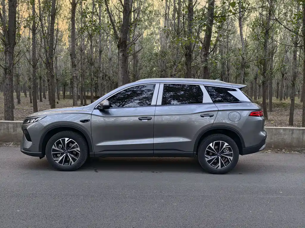 BYD SONGJIANG NEW ENERGY