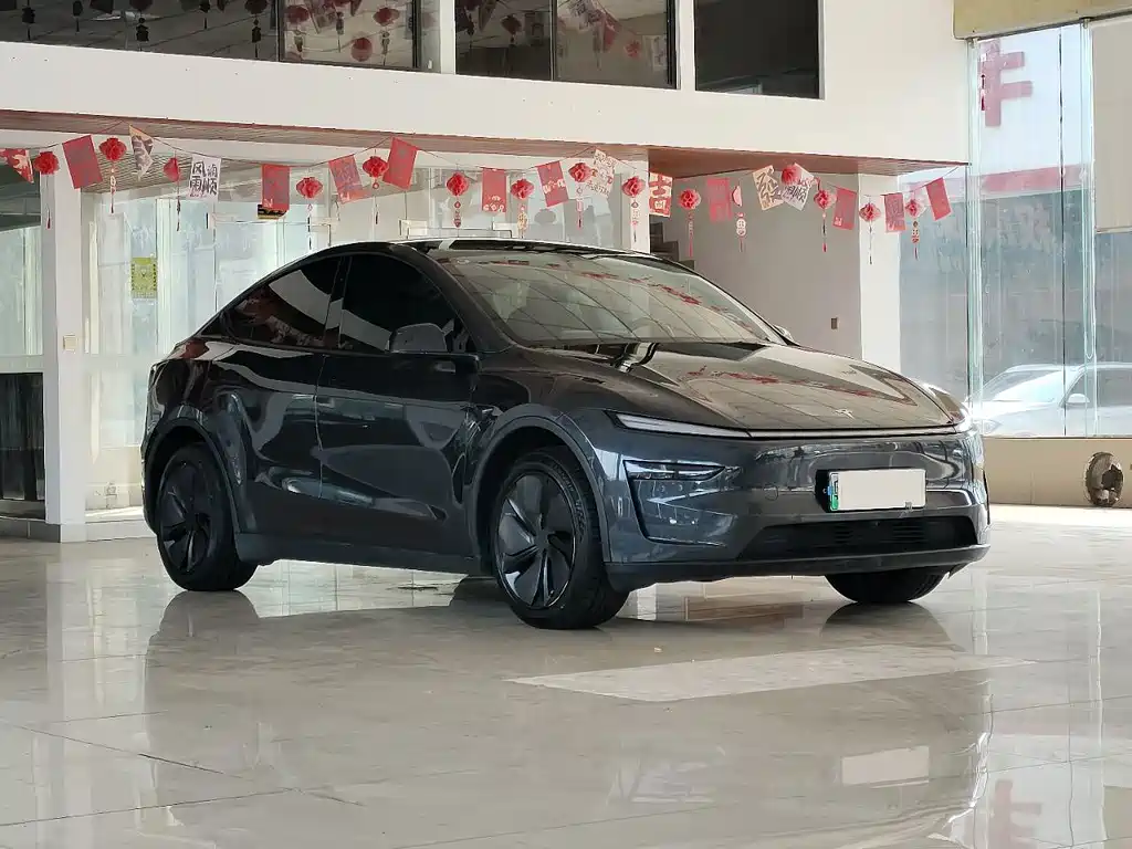 Tesla Model Y — миниатюра 3