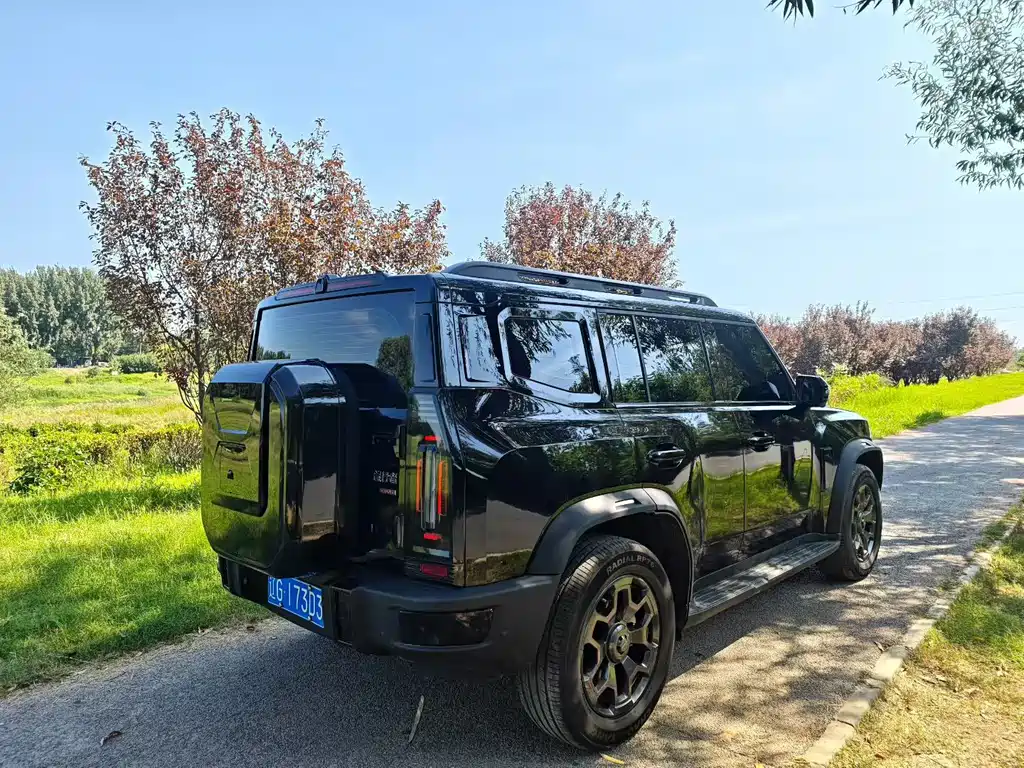 Jetour Traveller — миниатюра 9