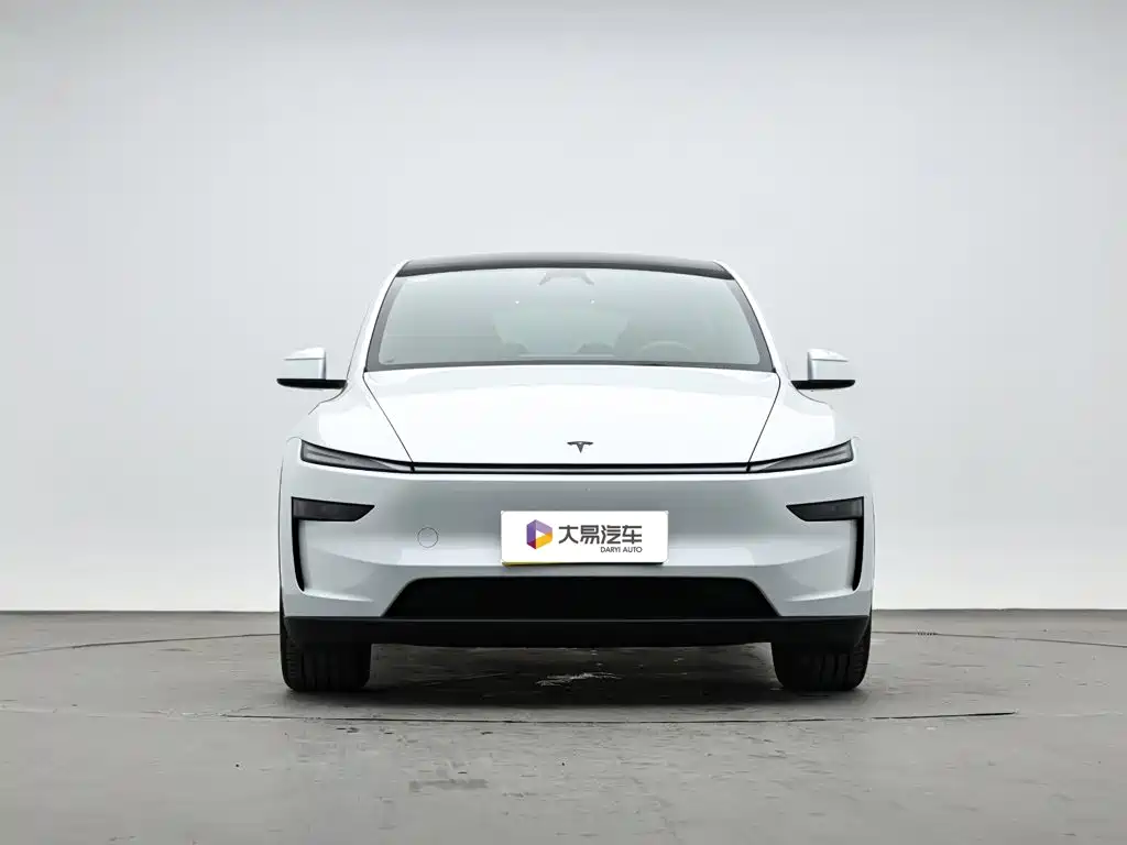 Tesla Model Y L — миниатюра 2
