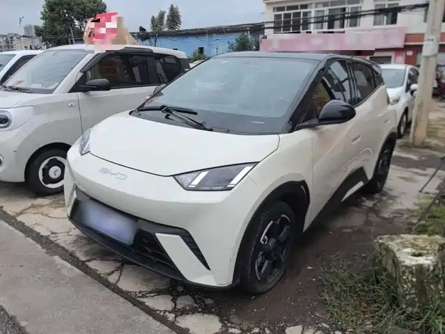 BYD Seagull