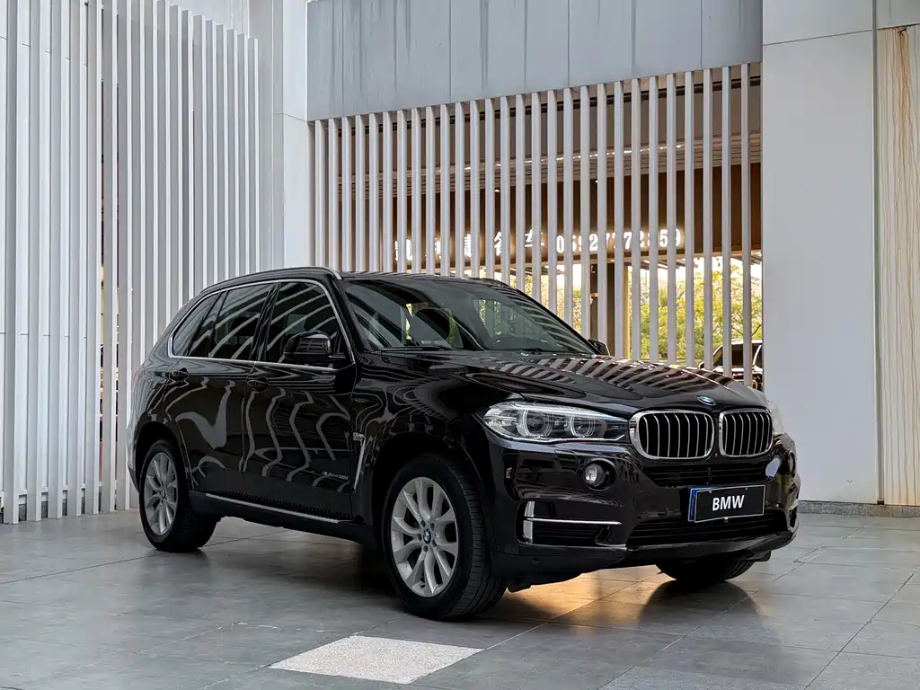 BMW X5 (Import) — миниатюра 3
