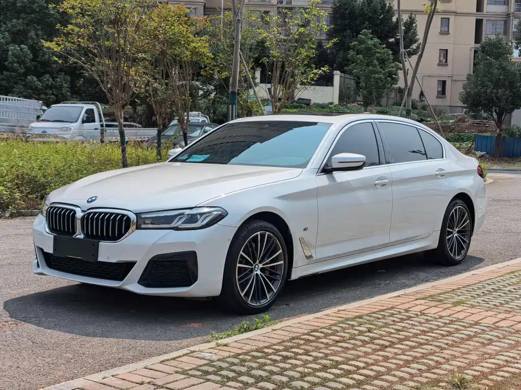 BMW 5 Series — миниатюра 2