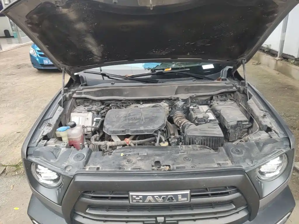 Haval Big Dog — миниатюра 20