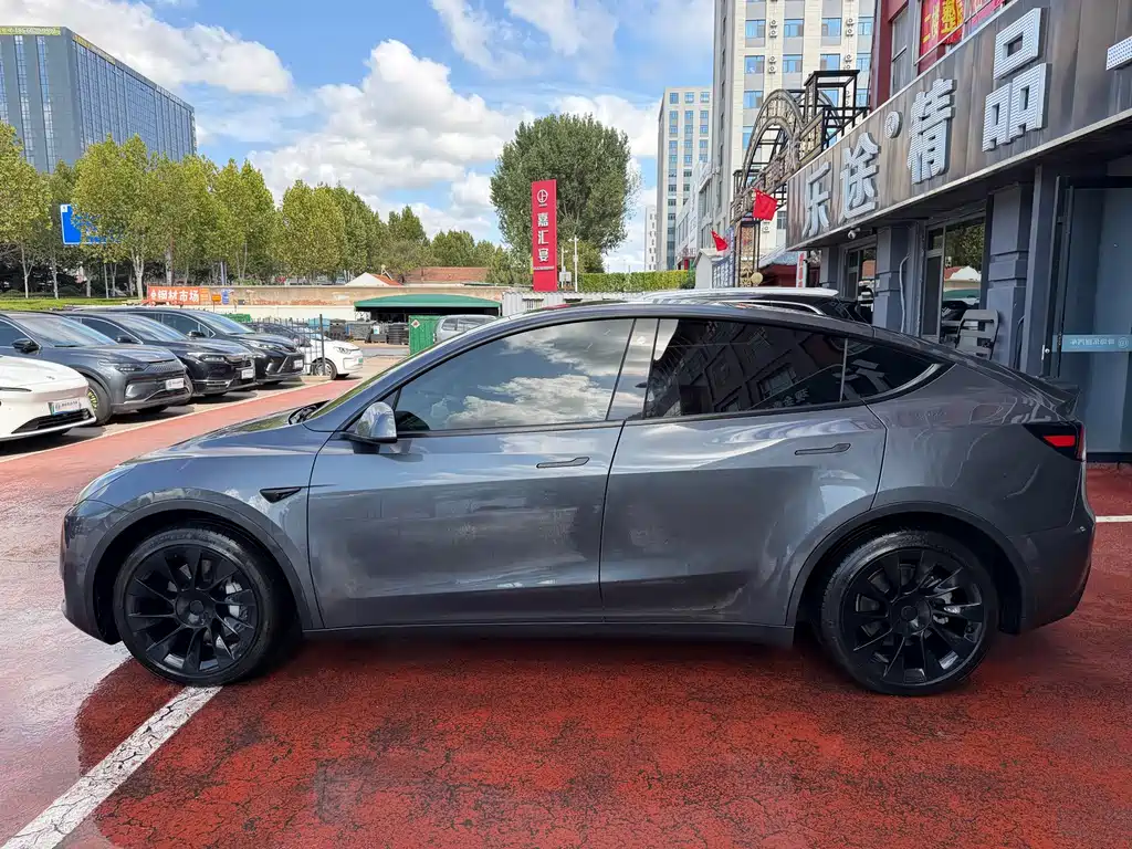 Tesla Model Y — миниатюра 3