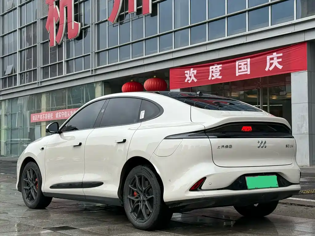 IM IM LS6 — миниатюра 4