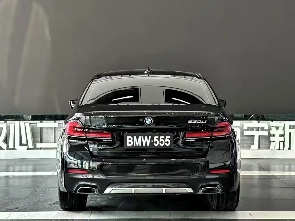BMW 5 Series — миниатюра 4
