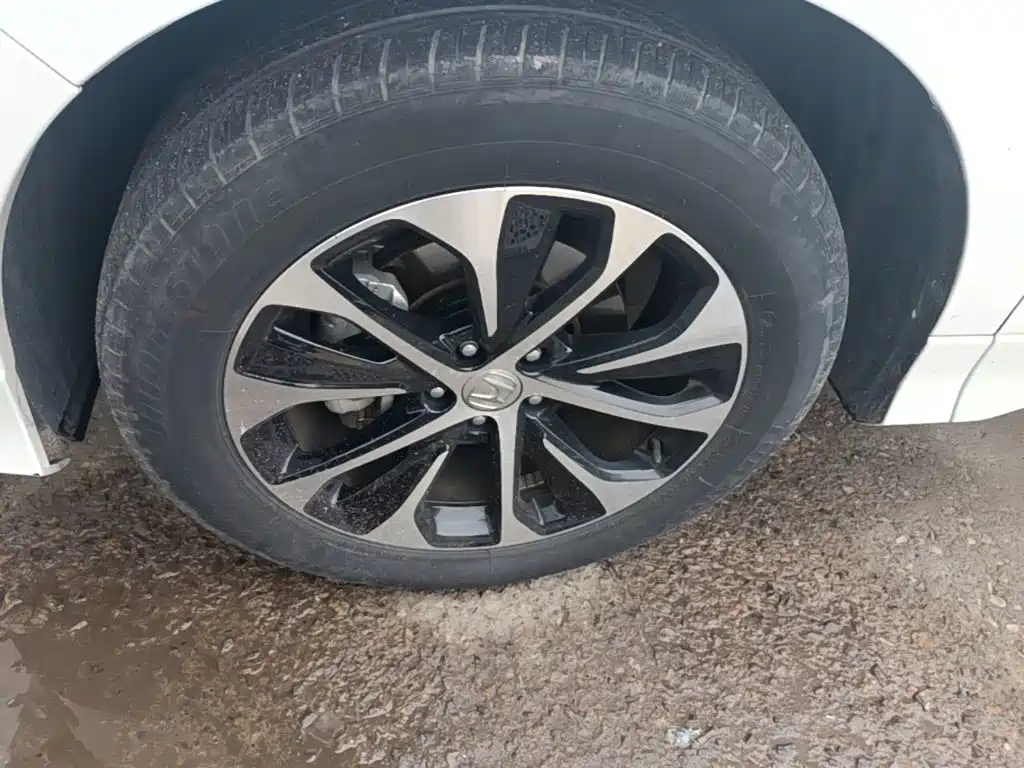 Honda Avancier — миниатюра 23