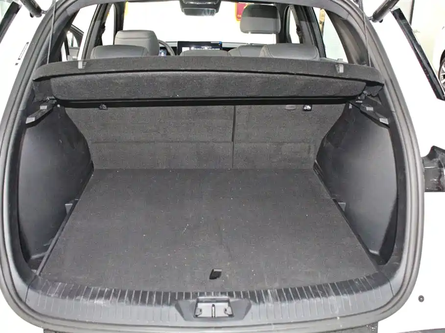 BYD SONGJIANG NEW ENERGY