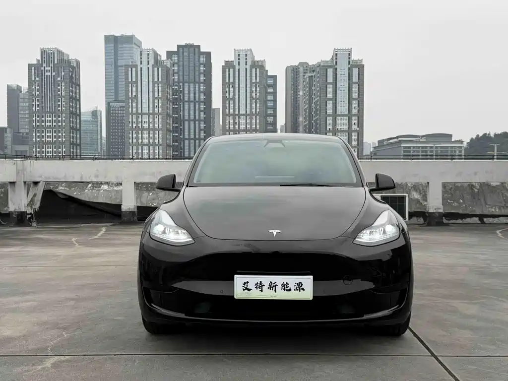 Tesla Model Y — миниатюра 3