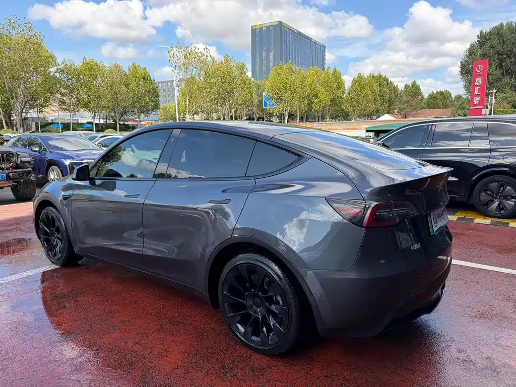 Tesla Model Y — миниатюра 4