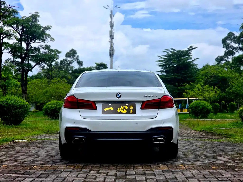 BMW 5 Series 5 2018 530Li Lead M Sport