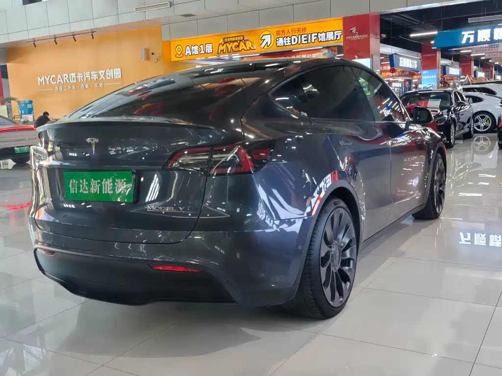 Tesla Model Y — миниатюра 15