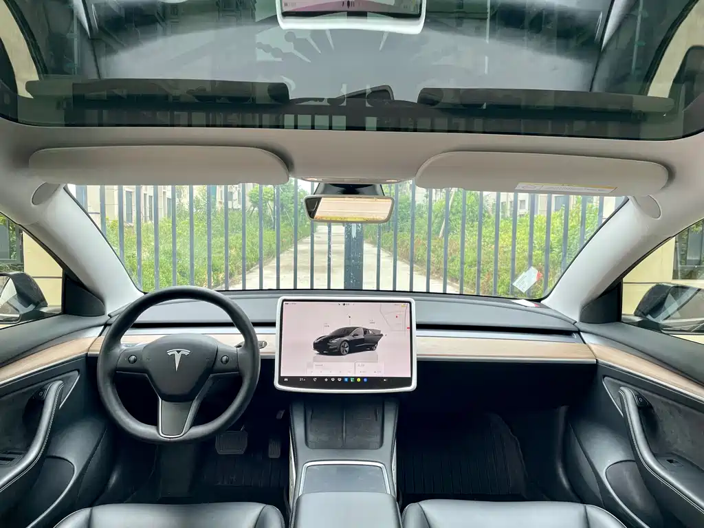 Tesla Model 3 — миниатюра 5