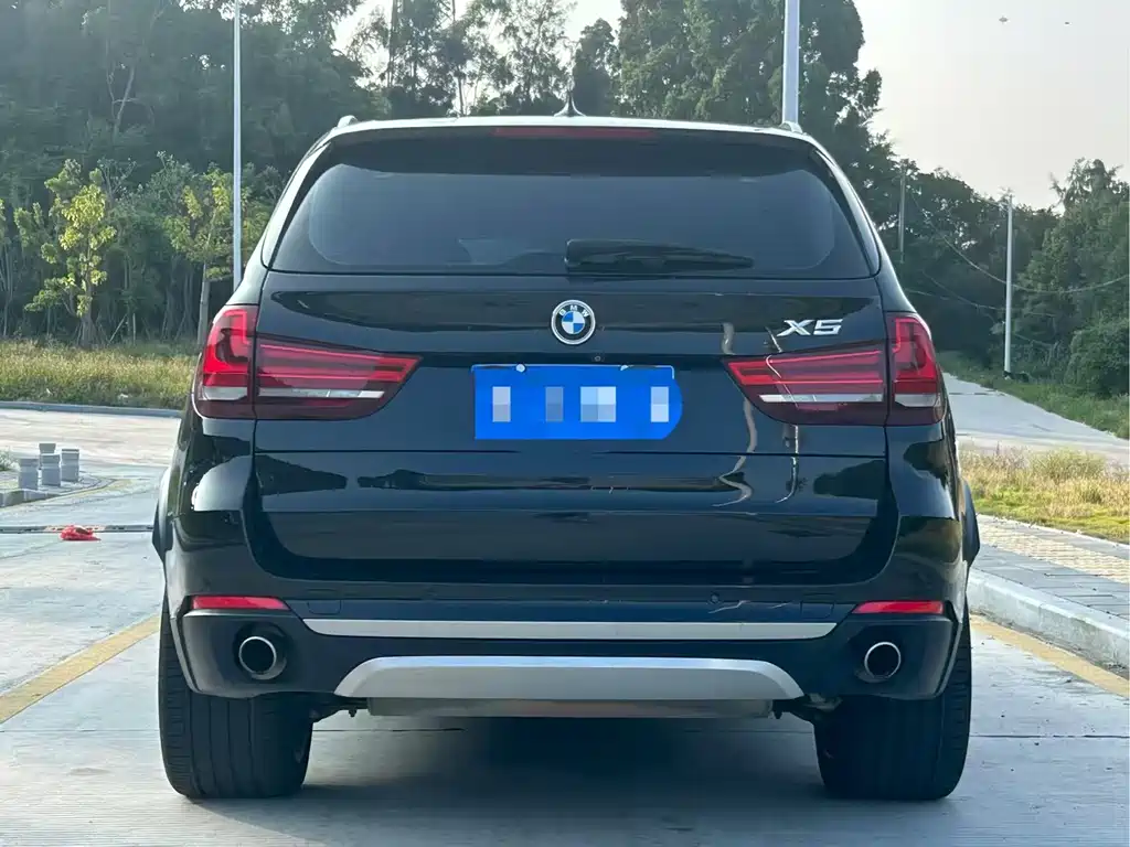 BMW X5 (Import) — миниатюра 8