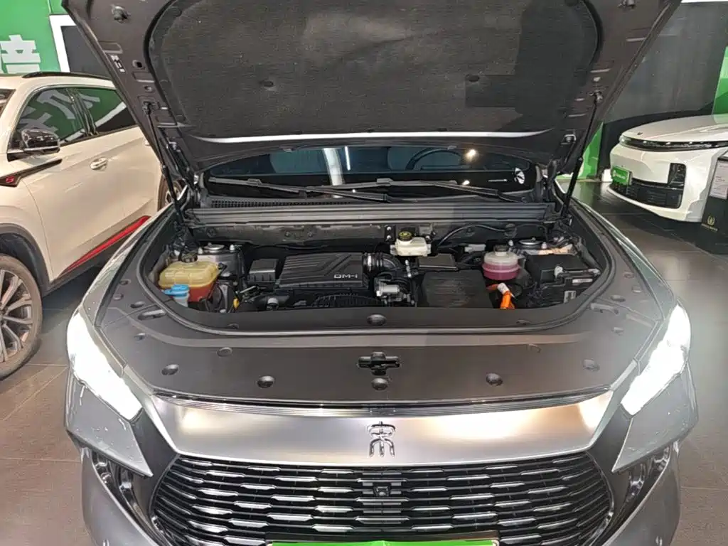 BYD Pro New Energy — миниатюра 20