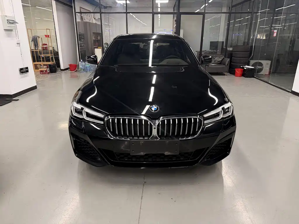 BMW 5 Series — миниатюра 2