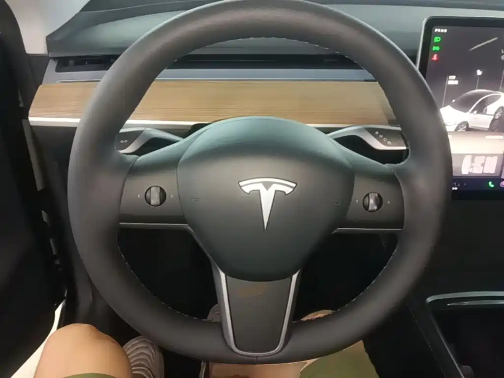 Tesla Model Y — миниатюра 11