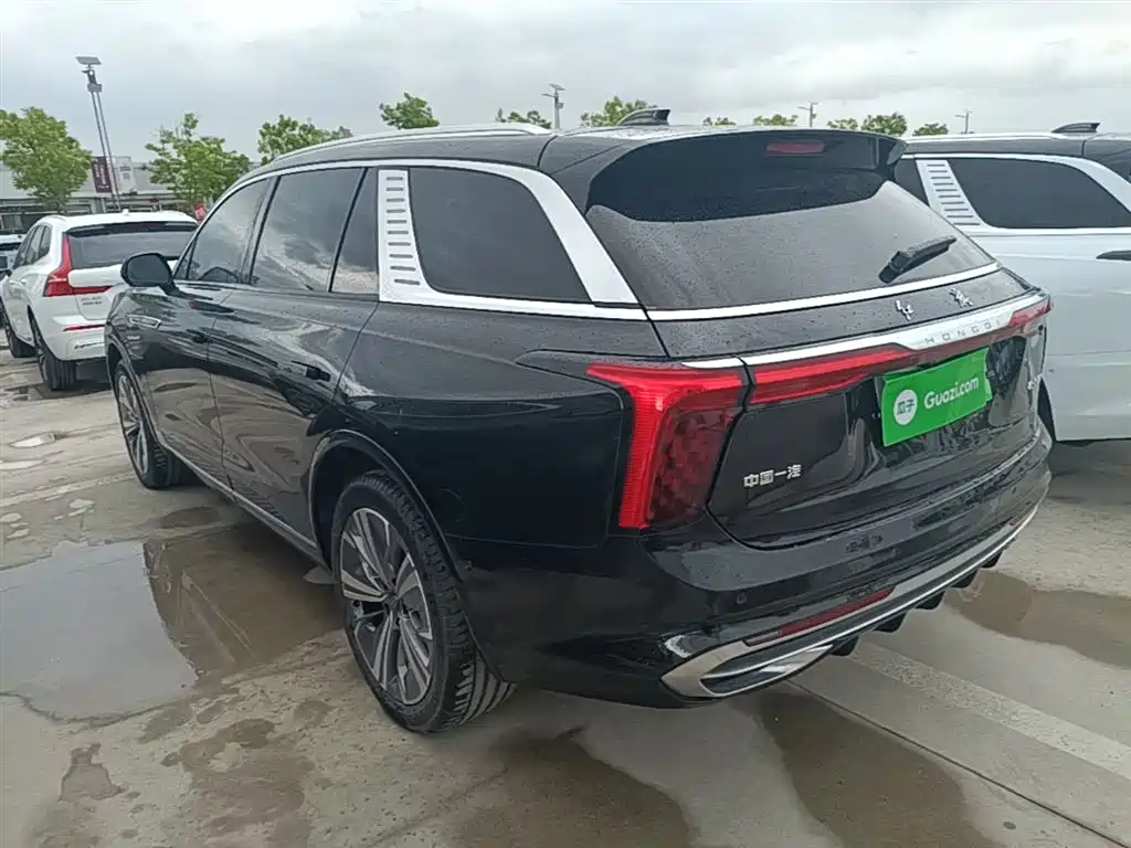 Hongqi E-HS9 2021 460km мест