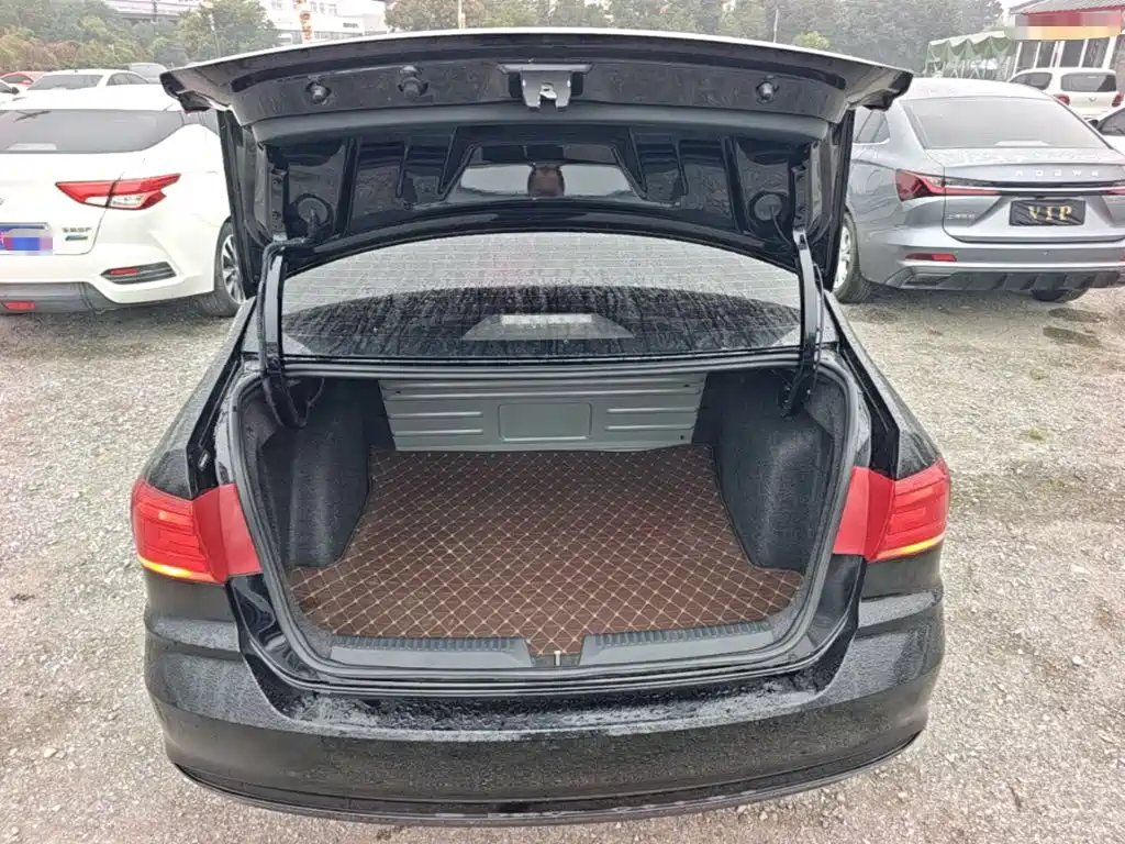 Volkswagen Santana — миниатюра 19