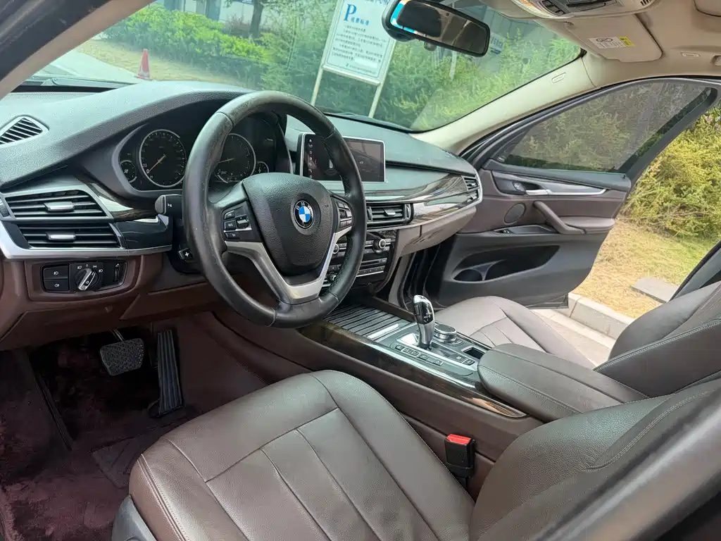 BMW X5 (Import) — миниатюра 10