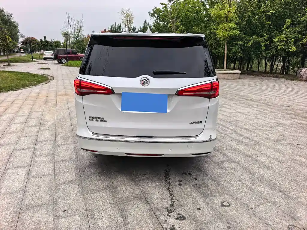 Buick GL8 — миниатюра 5