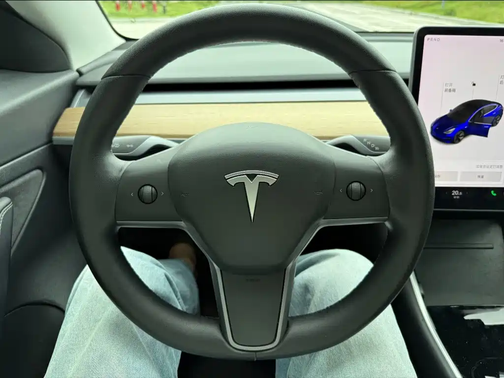 Tesla Model 3 — миниатюра 14