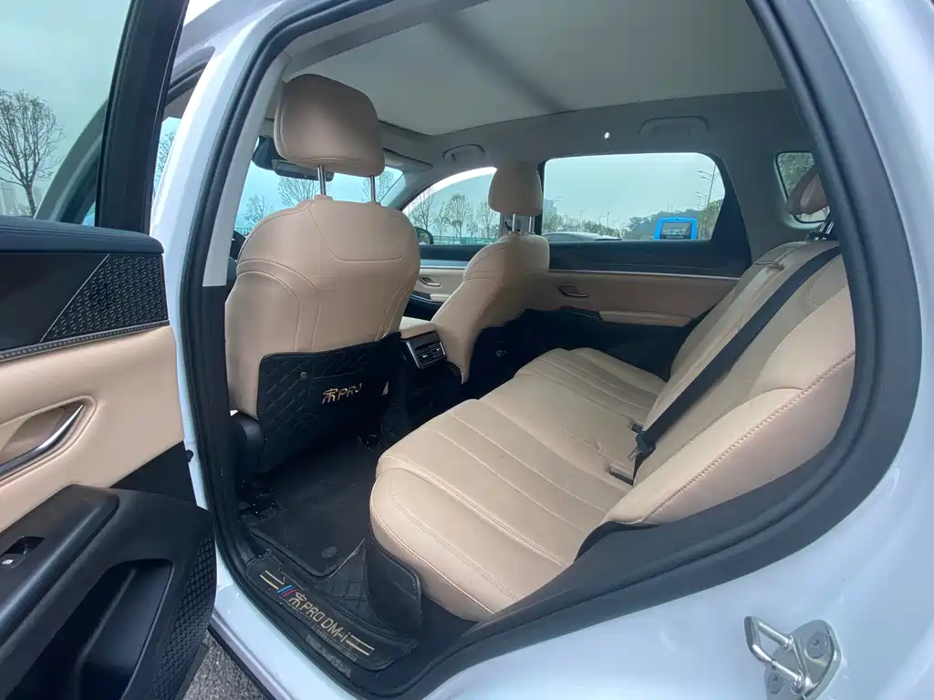 BYD Pro New Energy — миниатюра 6