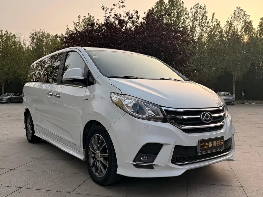 Maxus G10 2.0T Auto Luxury Executive Edition, фото 13