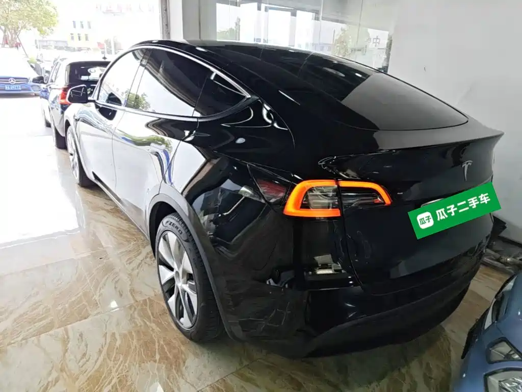 Tesla Model Y — миниатюра 5
