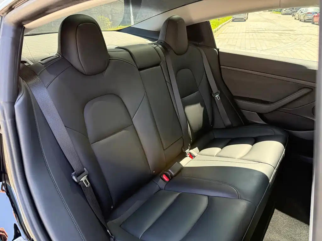 Tesla Model 3 — миниатюра 11