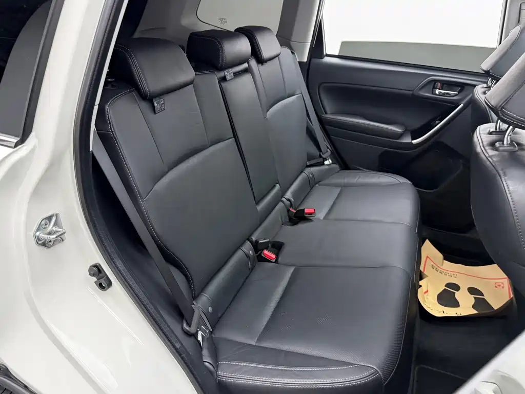 Subaru Forester — миниатюра 27