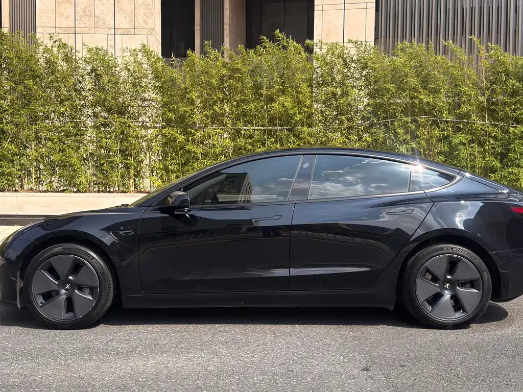 Tesla Model 3 — миниатюра 5