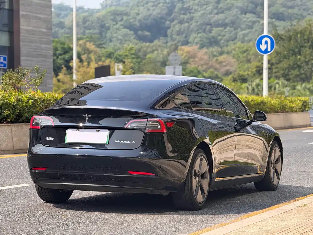 Tesla Model 3 — миниатюра 7