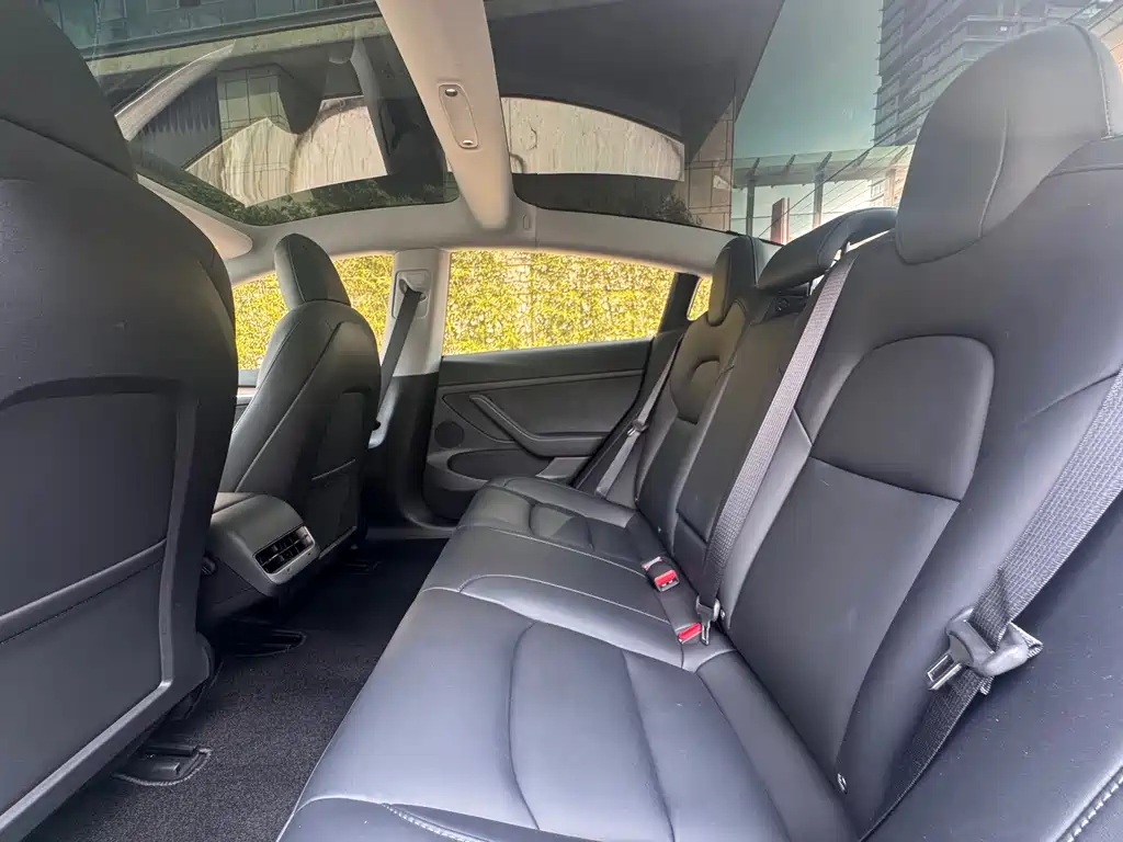 Tesla Model 3 — миниатюра 18