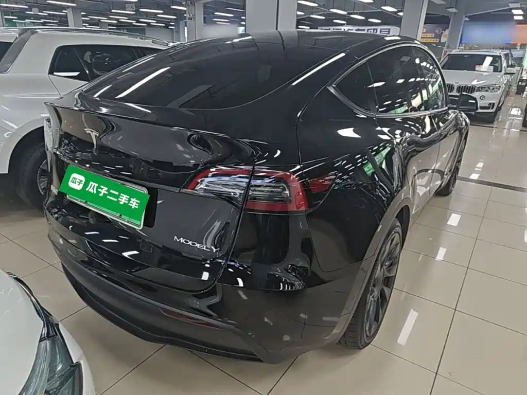 Tesla Model Y — миниатюра 7
