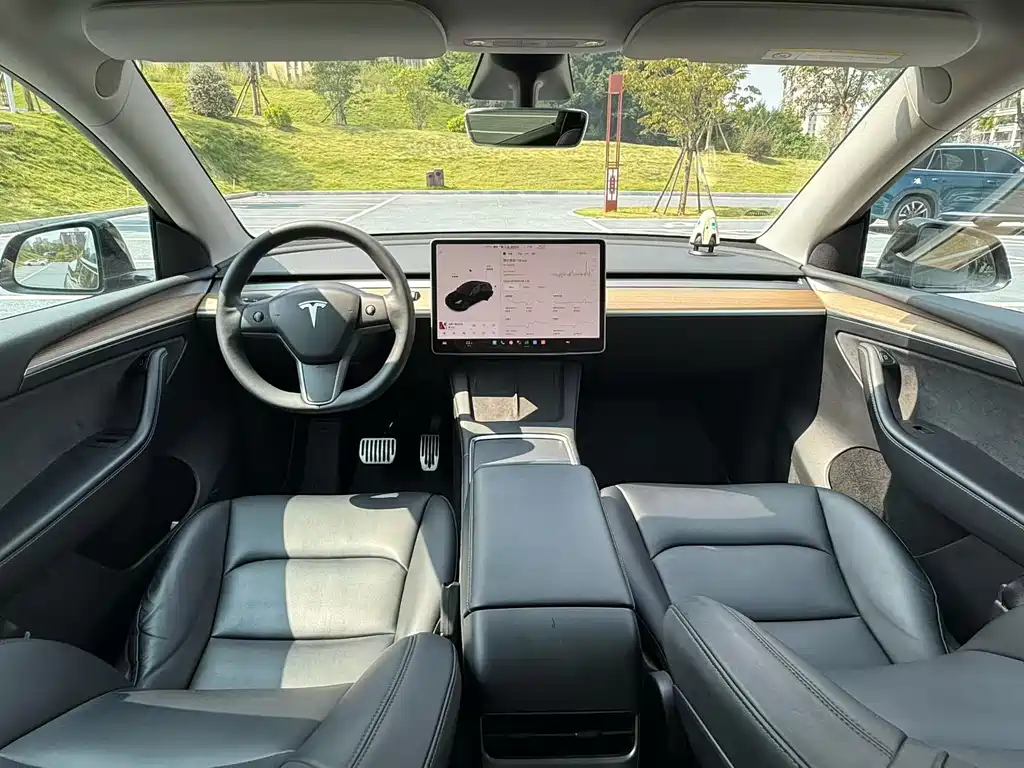 Tesla Model Y — миниатюра 5