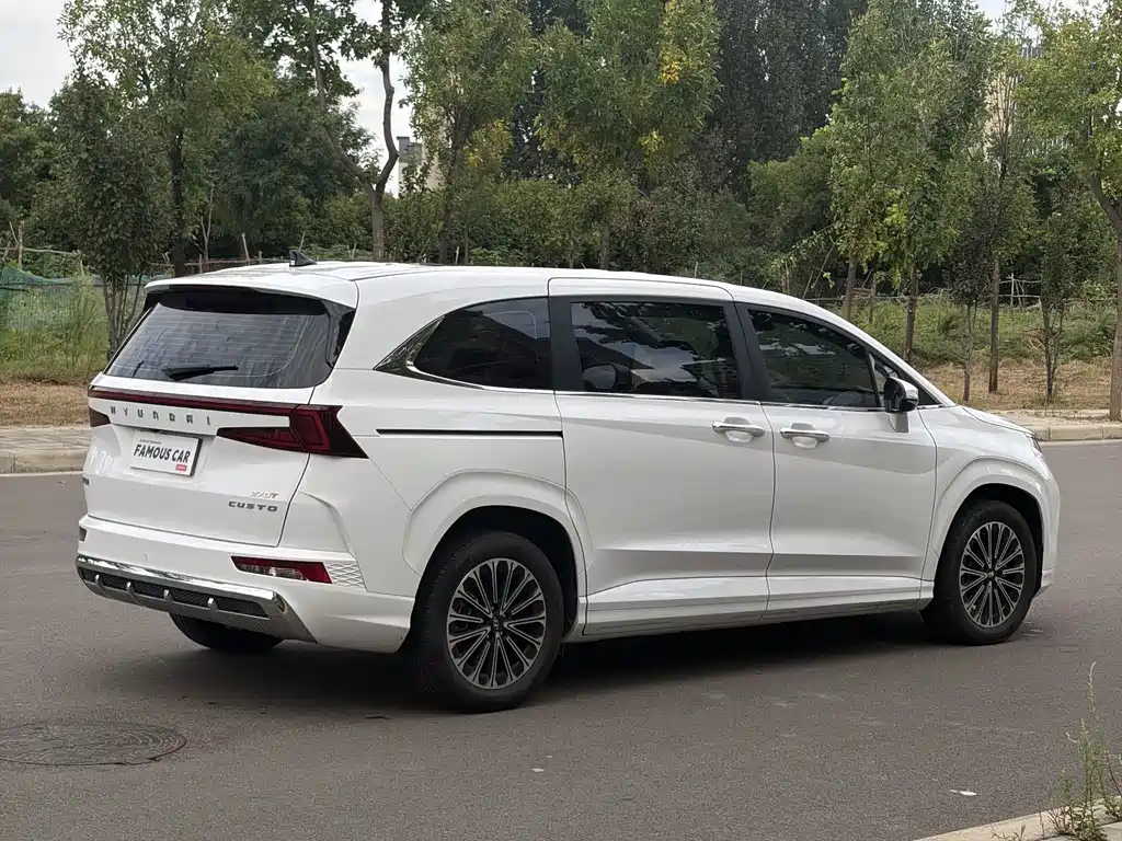 Hyundai Custo — миниатюра 6