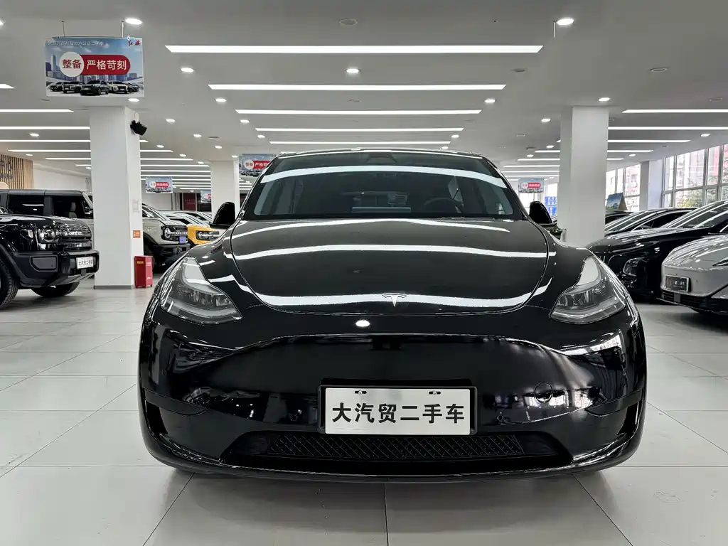 Tesla Model Y — миниатюра 2