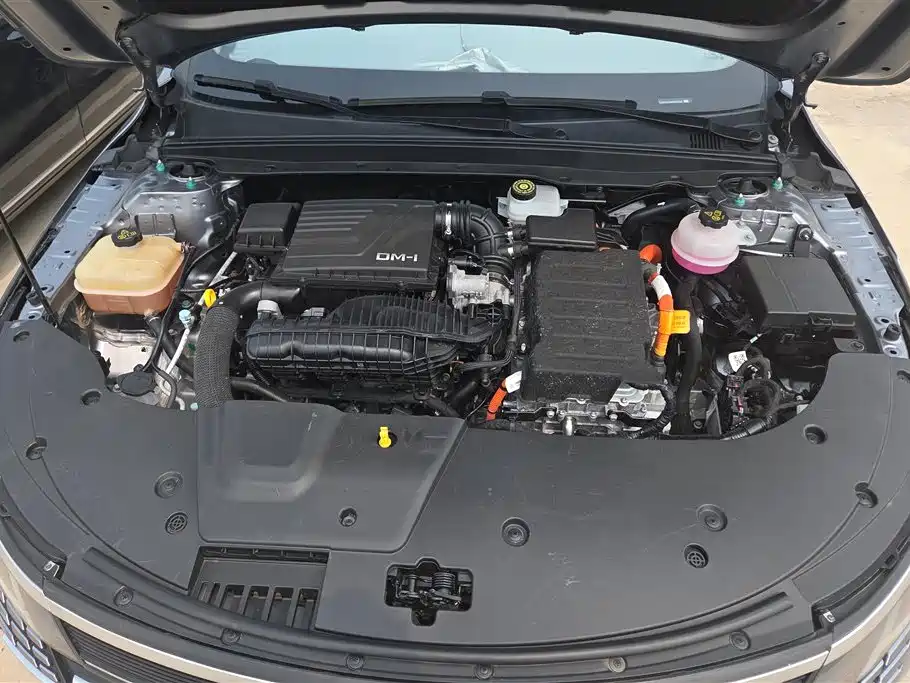 BYD Destroyer 05 2024 DM-i 55KM Luxury