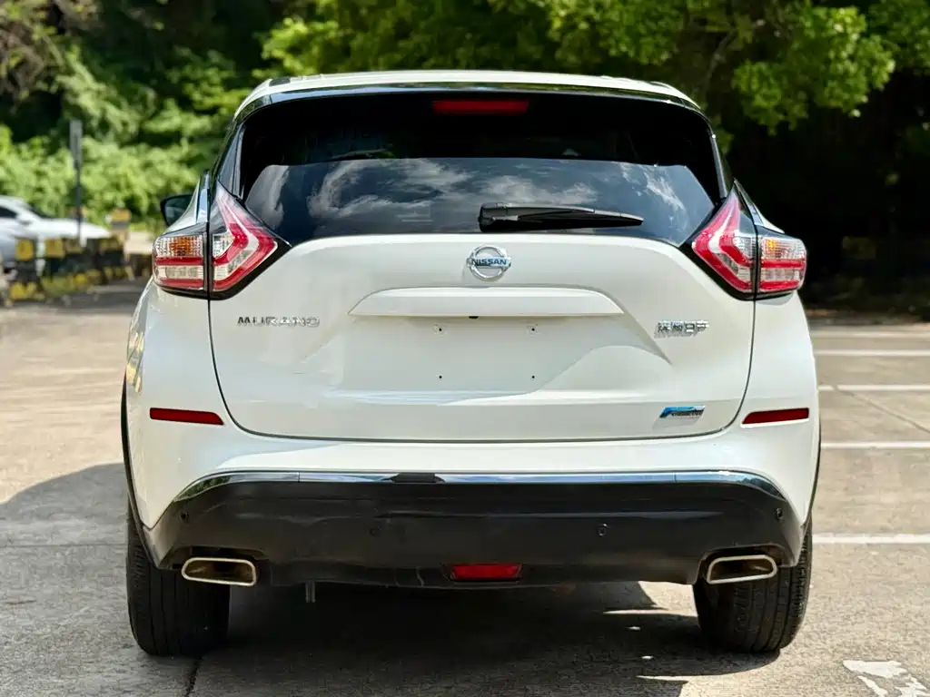 Nissan Murano 2019 2.5L XL Luxury VI