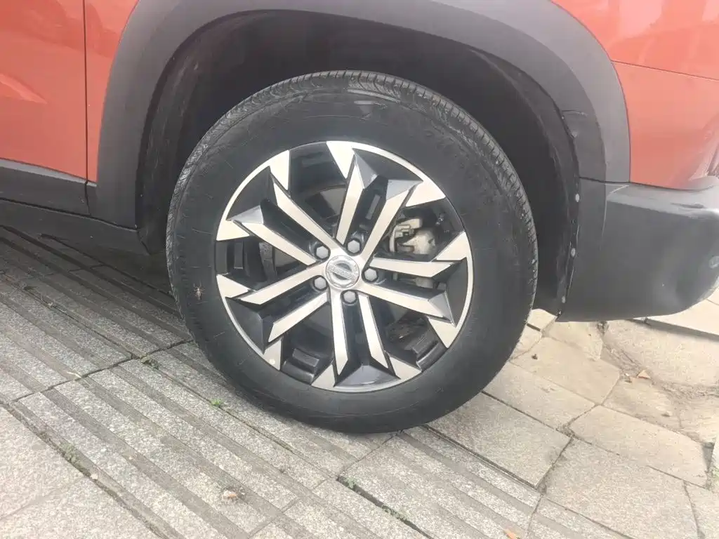 Haval Big Dog — миниатюра 22