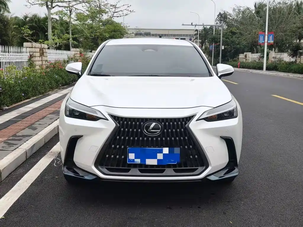 Lexus NX — миниатюра 2