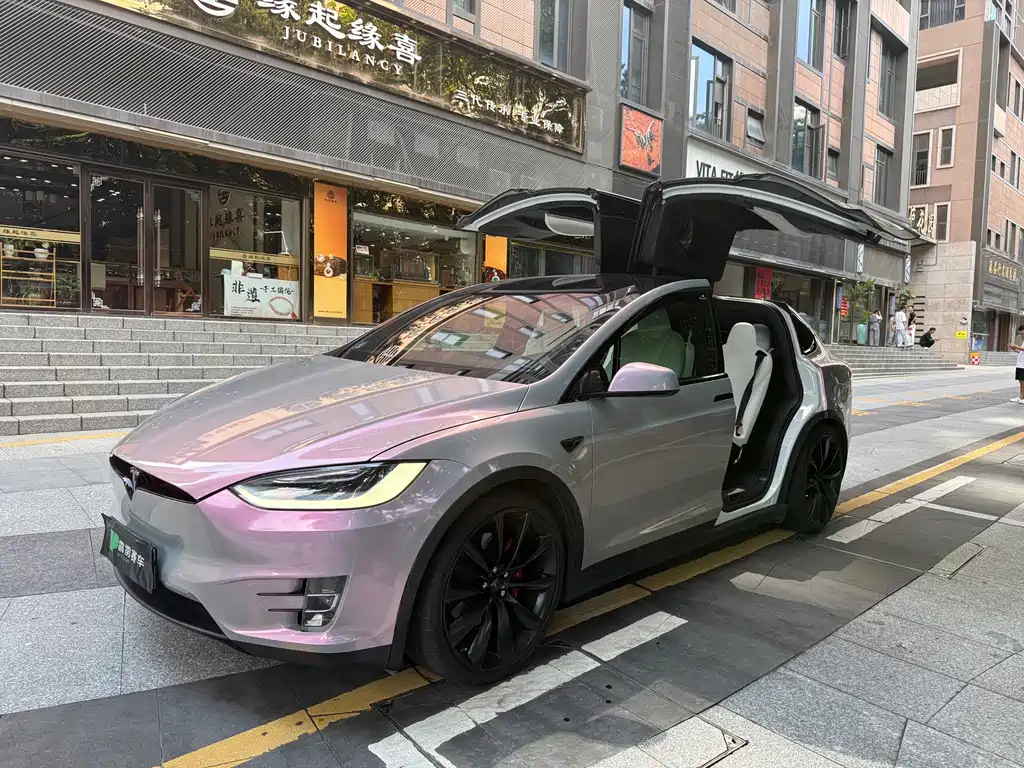 Tesla Model X — миниатюра 8