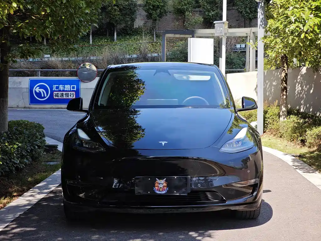 Tesla Model Y — миниатюра 2