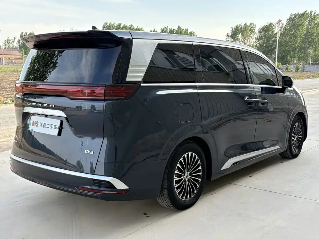 Denza Denza D9 — миниатюра 6