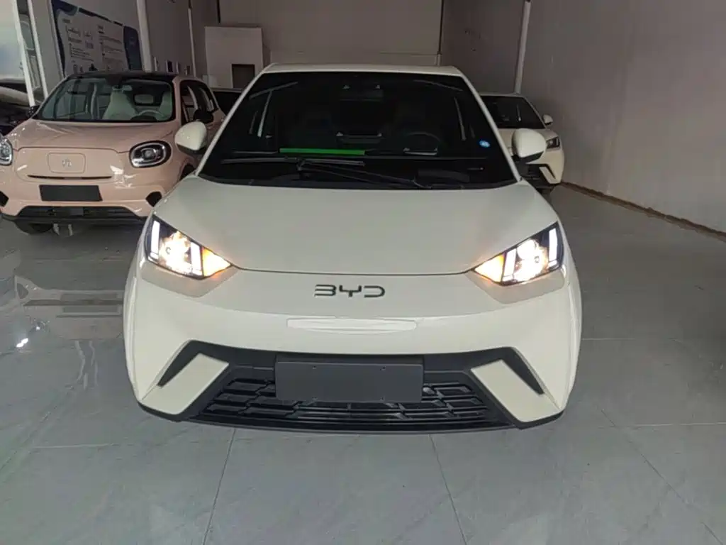 BYD Seagull 2025 305km