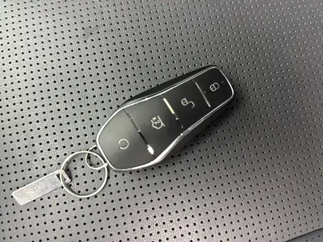 BYD Sealion 07 DM-i — миниатюра 19