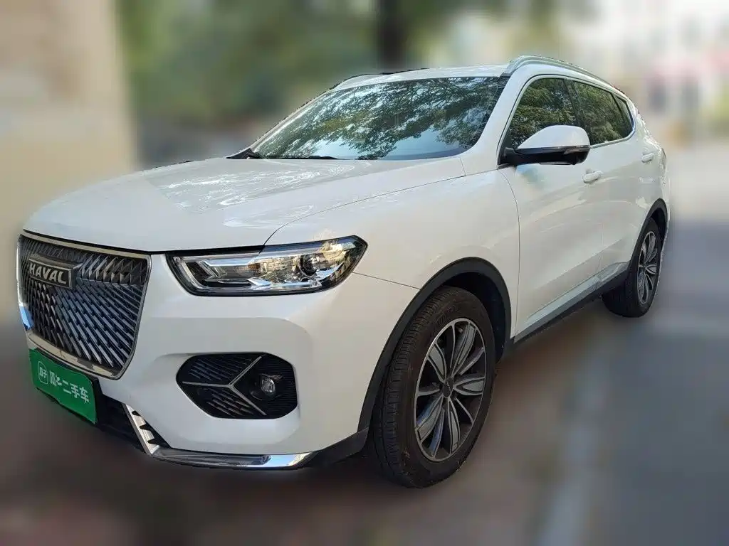 Haval H6 — миниатюра 2